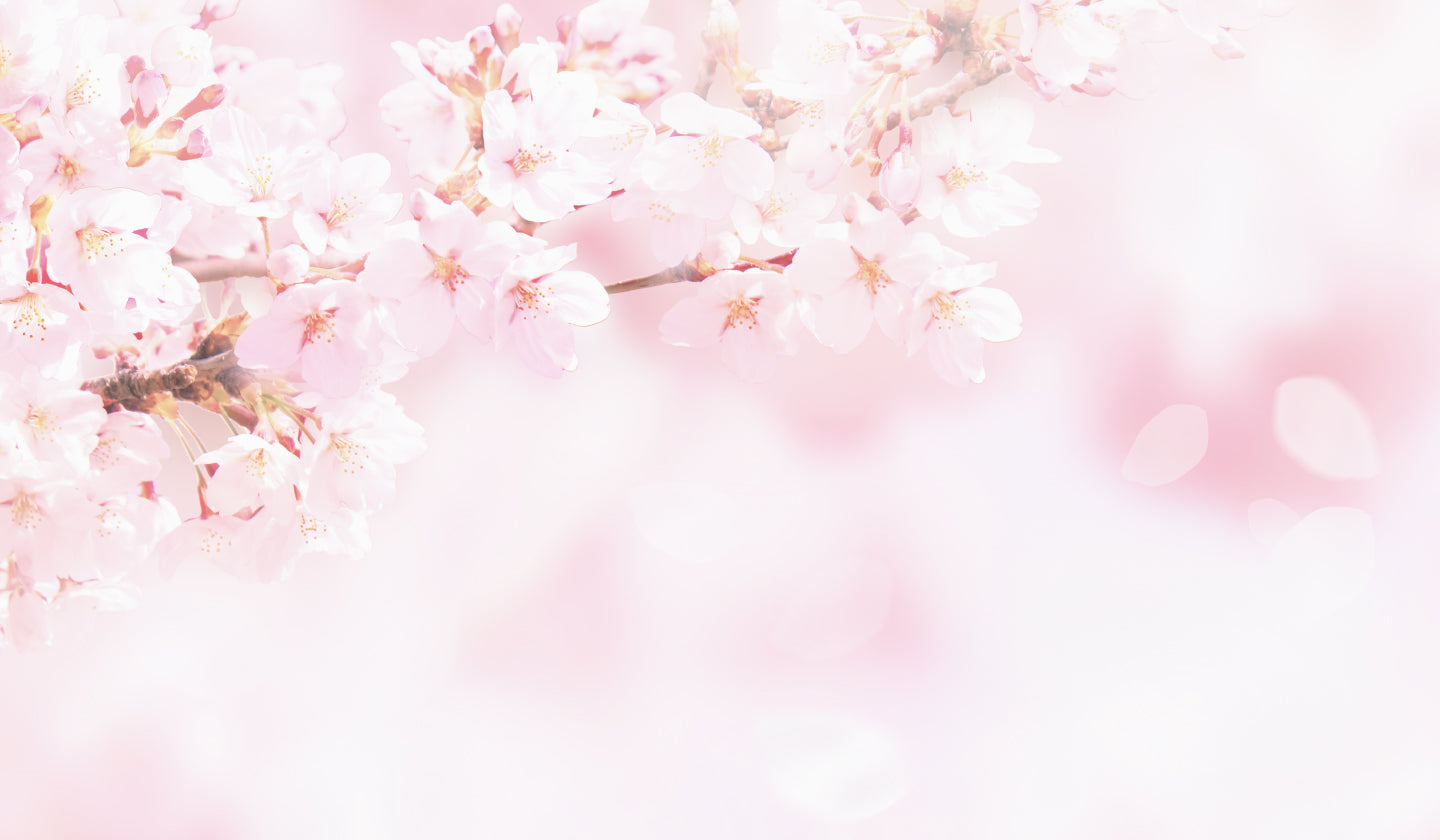 春  〜 Primavera 〜