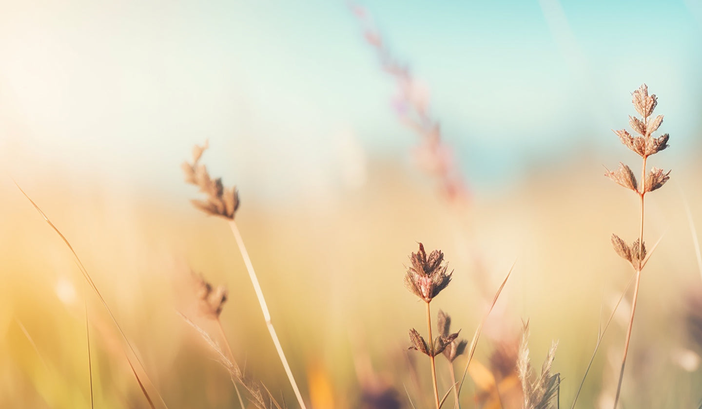 秋  〜 Autunno 〜