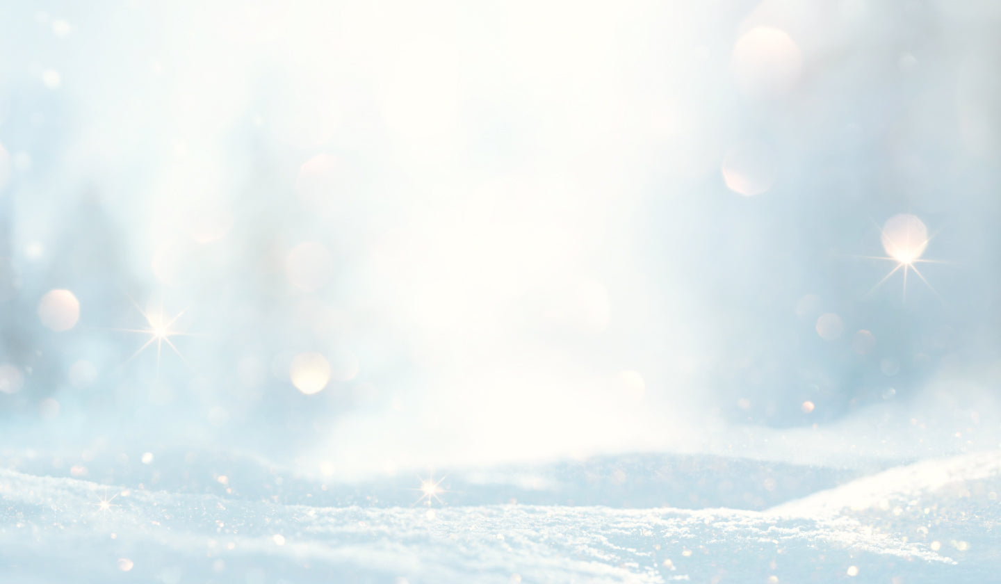 冬  〜 Inverno 〜