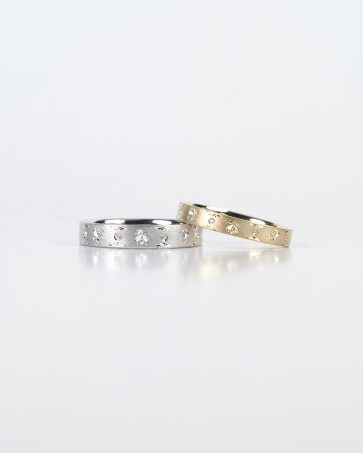 bucaneve dia 待雪草