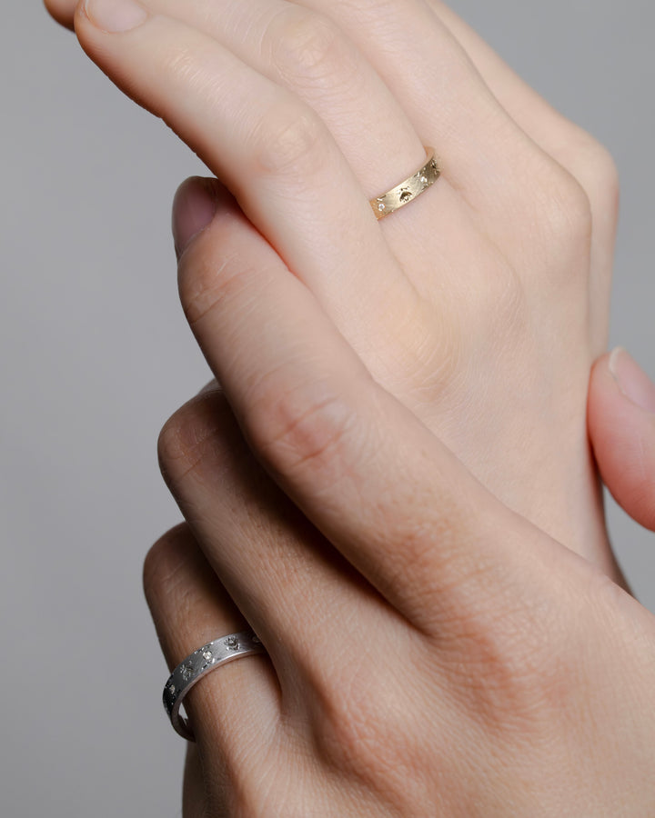 bucaneve dia 待雪草