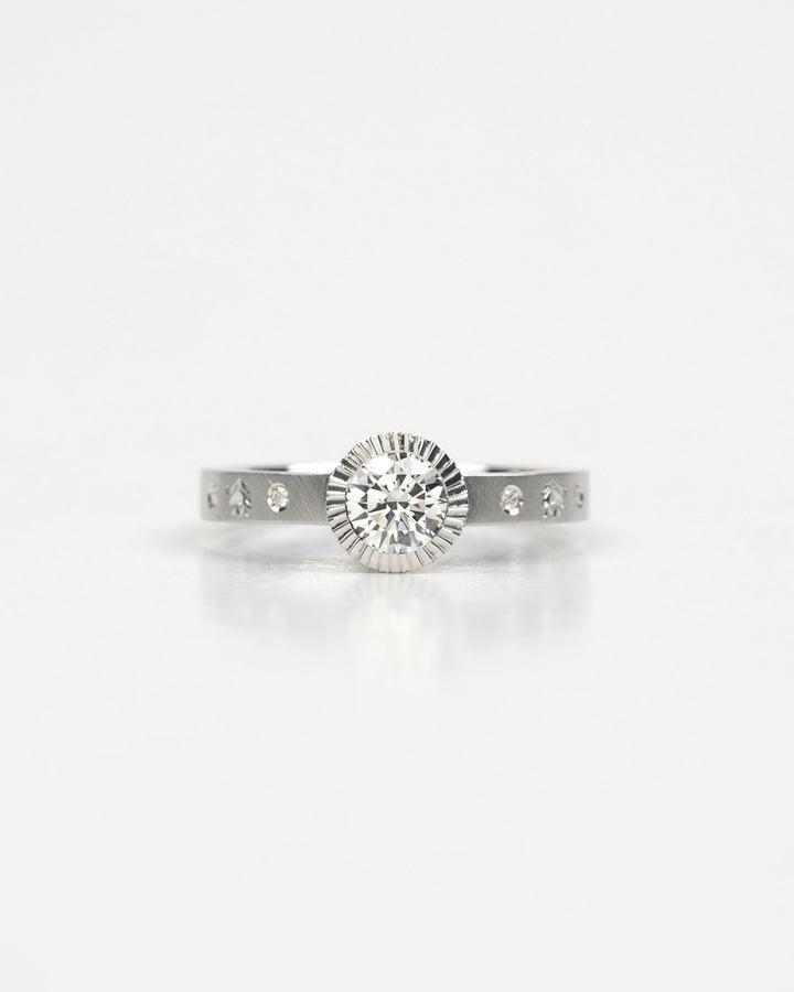 bucaneve engagement 待雪草