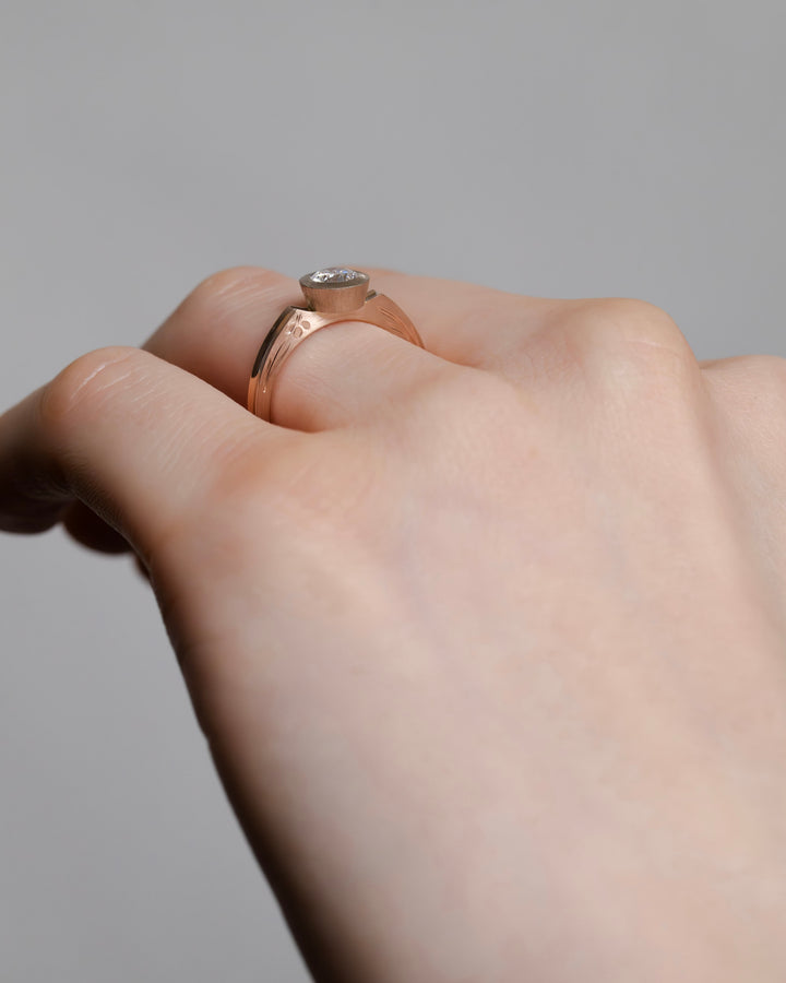 iris engagement 燕子花