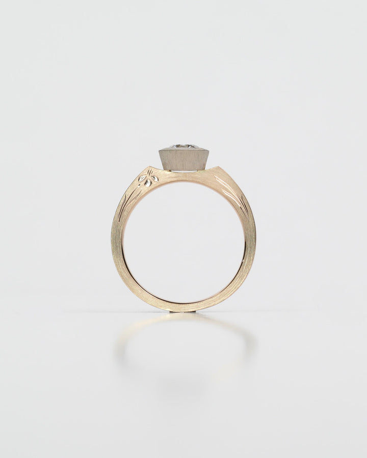 iris engagement 燕子花